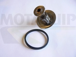 Thermostat, coolant (VTK179)