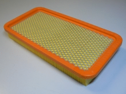 Air Filter (VFA1008)