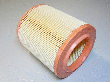 Air Filter (VFA529)