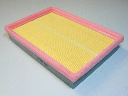 Air Filter (VFA524)