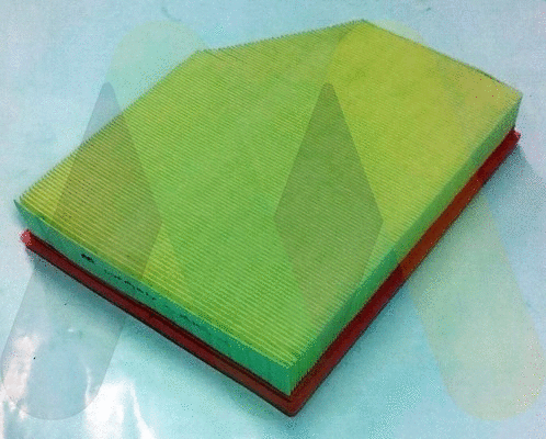 Air Filter (LVFA1617)