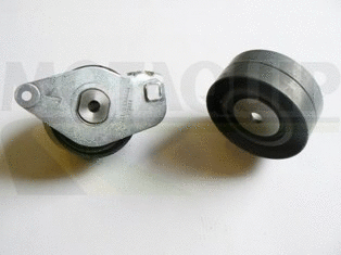 Timing Belt Kit (VTT254)