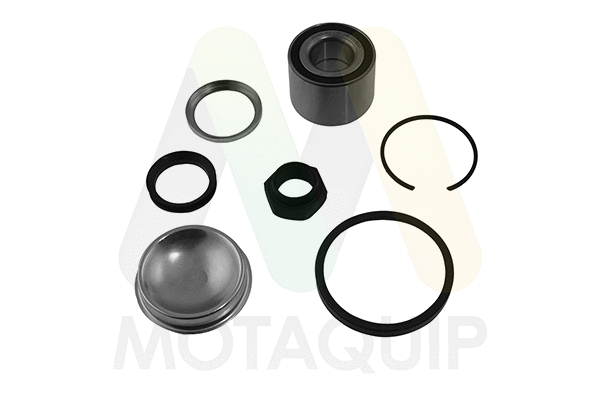 Wheel Bearing Kit (LVBW1810)