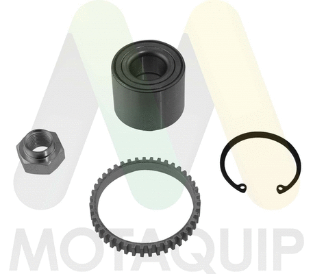 Wheel Bearing Kit (LVBW1617)