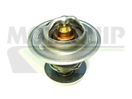 Thermostat, coolant (VTS212)