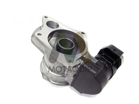 EGR Valve (LVER109)