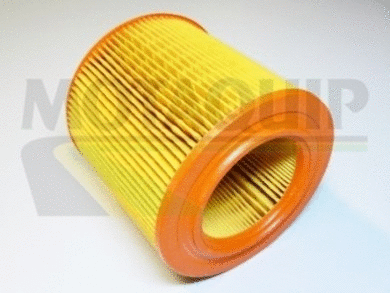 Air Filter (VFA215)