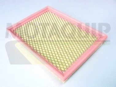 Air Filter (VFA80)