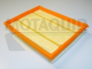 Air Filter (VFA1029)