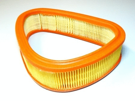 Air Filter (VFA490)