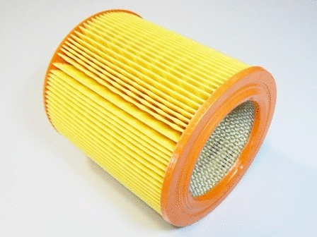 Air Filter (VFA491)