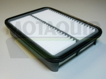 Air Filter (VFA808)