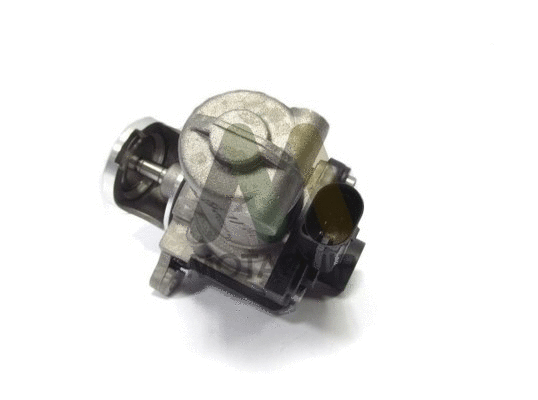 EGR Valve (LVER249)