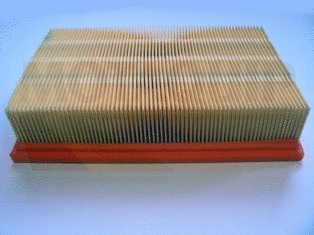 Air Filter (VFA1217)