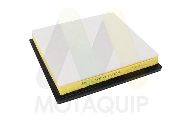 Air Filter (LVFA1724)
