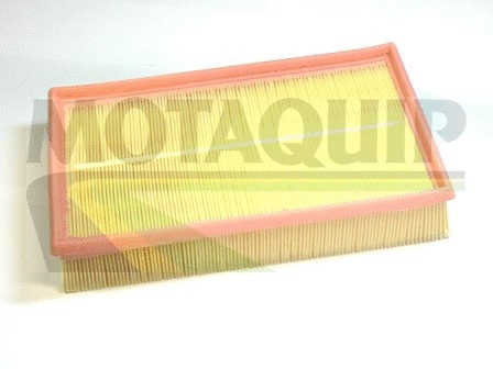 Air Filter (VFA1137)