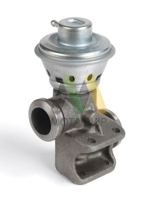 EGR Valve (LVER318)