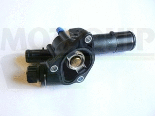 Thermostat, coolant