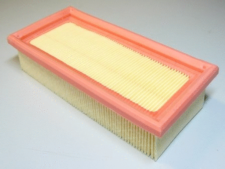 Air Filter (VFA141)
