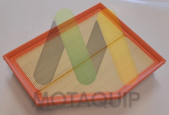 Air Filter (LVFA1675)