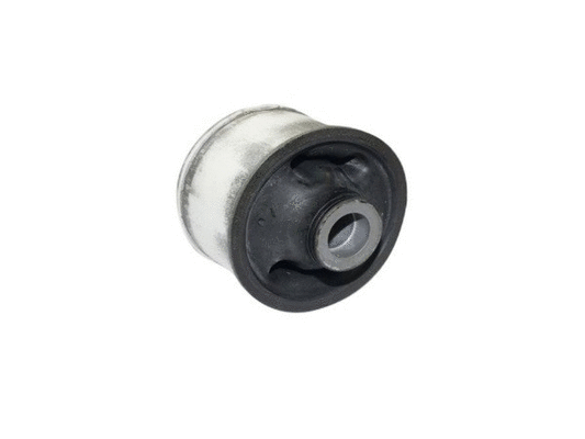 Mounting, control/trailing arm (LVSK1330)