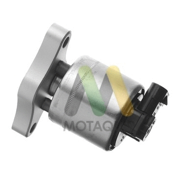 EGR Valve (LVER100)