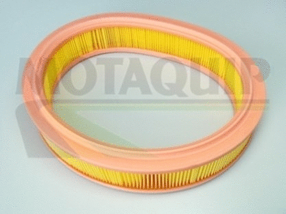 Air Filter (VFA1032)
