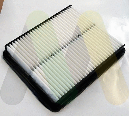Air Filter (LVFA1592)