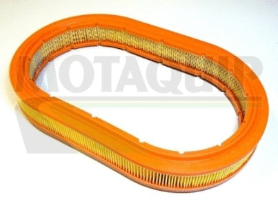 Air Filter (VFA191)