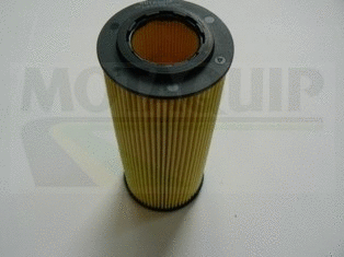 Oil Filter (VFL499)