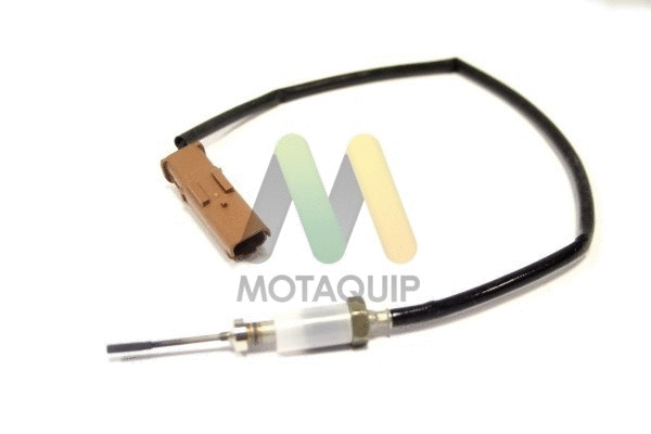 Sensor, exhaust gas temperature (LVET193)