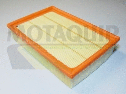 Air Filter (VFA1017)