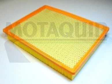 Air Filter (VFA1013)