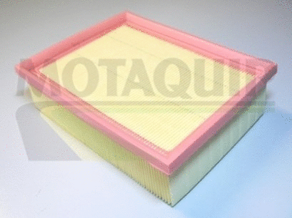 Air Filter (VFA651)