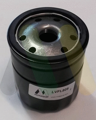 Oil Filter (LVFL809)