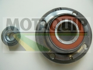 Wheel Bearing Kit (VBK1285)