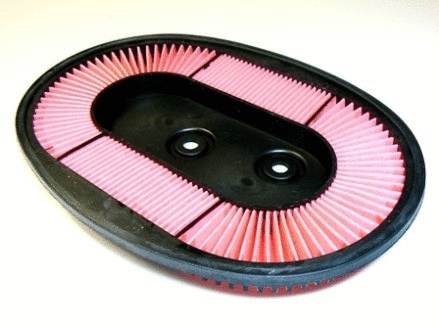 Air Filter (VFA552)