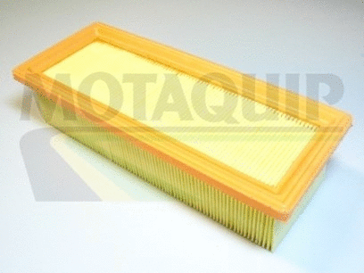 Air Filter (VFA761)