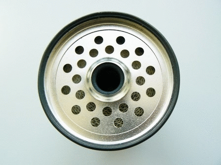Fuel Filter (VFF119)