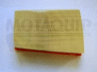 Air Filter (VFA1213)