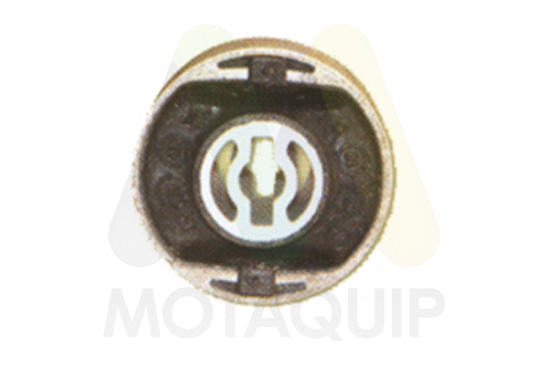 Mounting, control/trailing arm (LVSK1269)