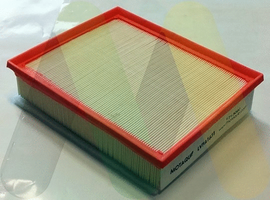 Air Filter (LVFA1631)