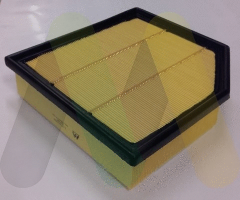 Air Filter (LVFA1556)