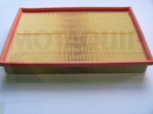 Air Filter (VFA1186)