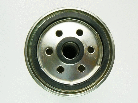 Fuel Filter (VFF398)