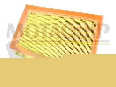 Air Filter (VFA1180)