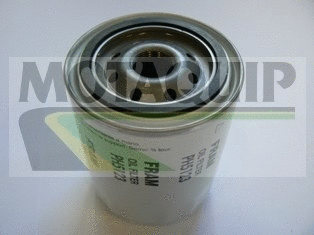 Oil Filter (VFL301)