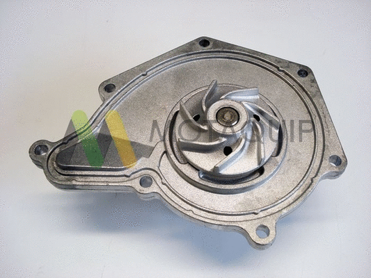 Water Pump, engine cooling (LVWP965)