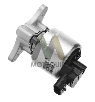 EGR Valve (LVER290)