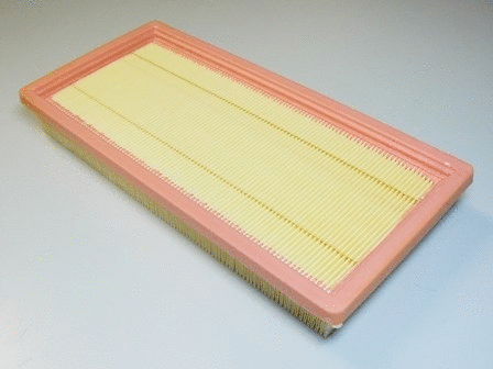Air Filter (VFA1079)